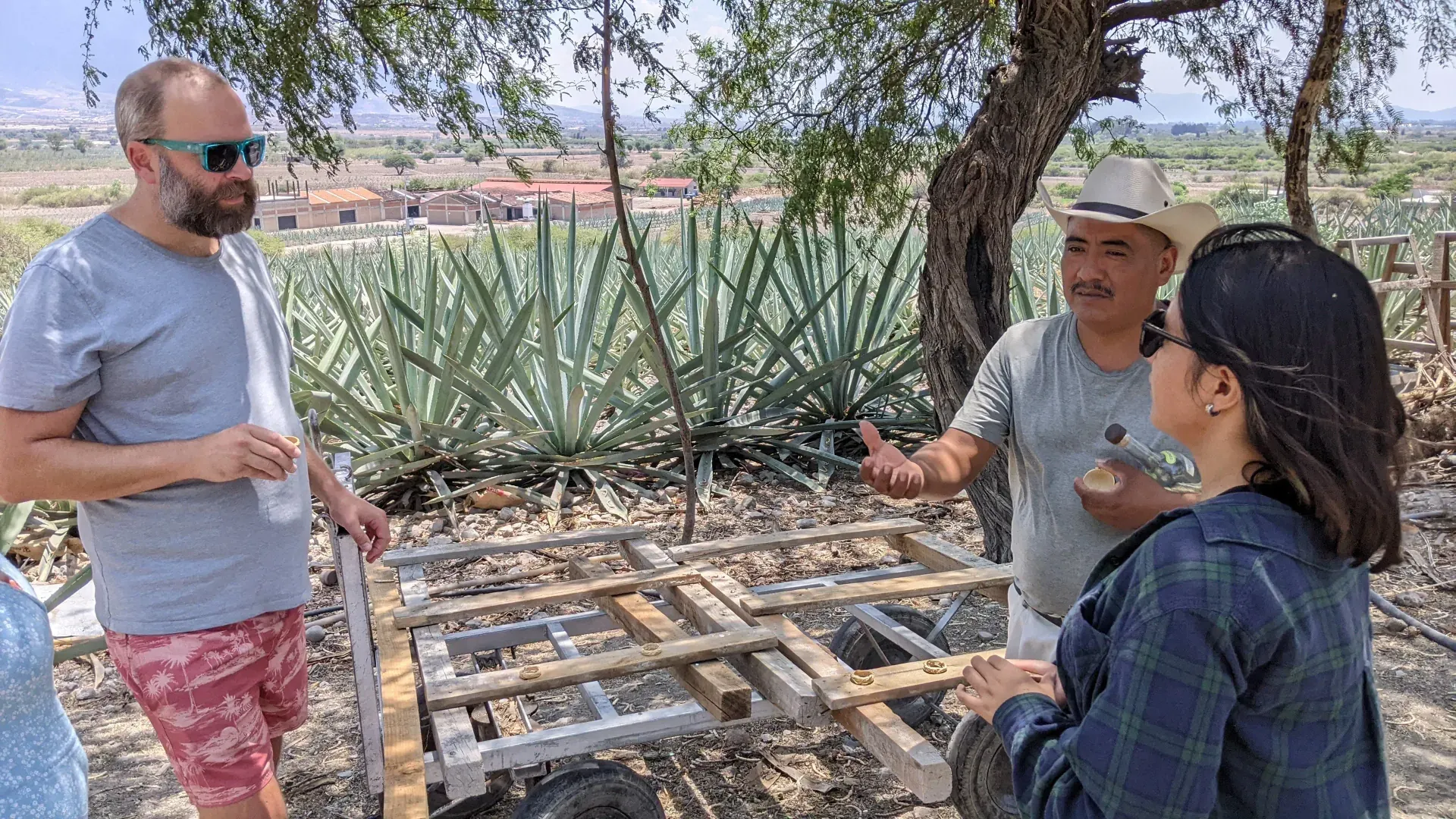 Visita a palenque de mezcal